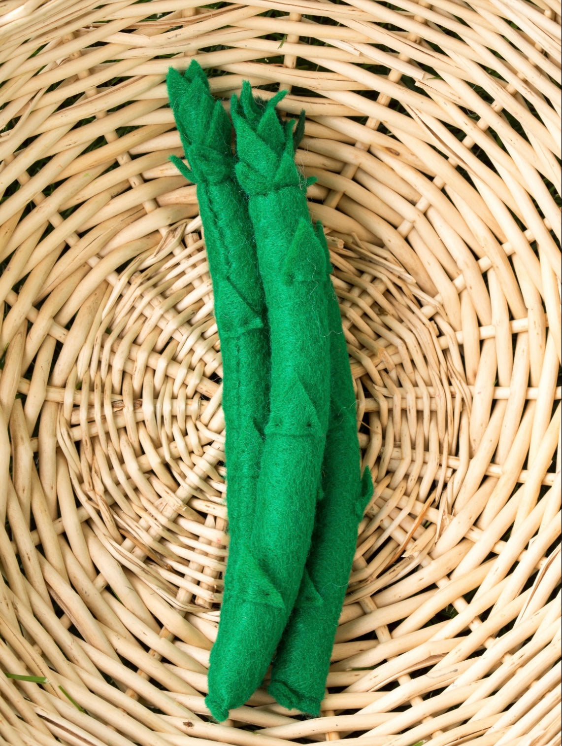 Wool Blend Felt Veggie Set