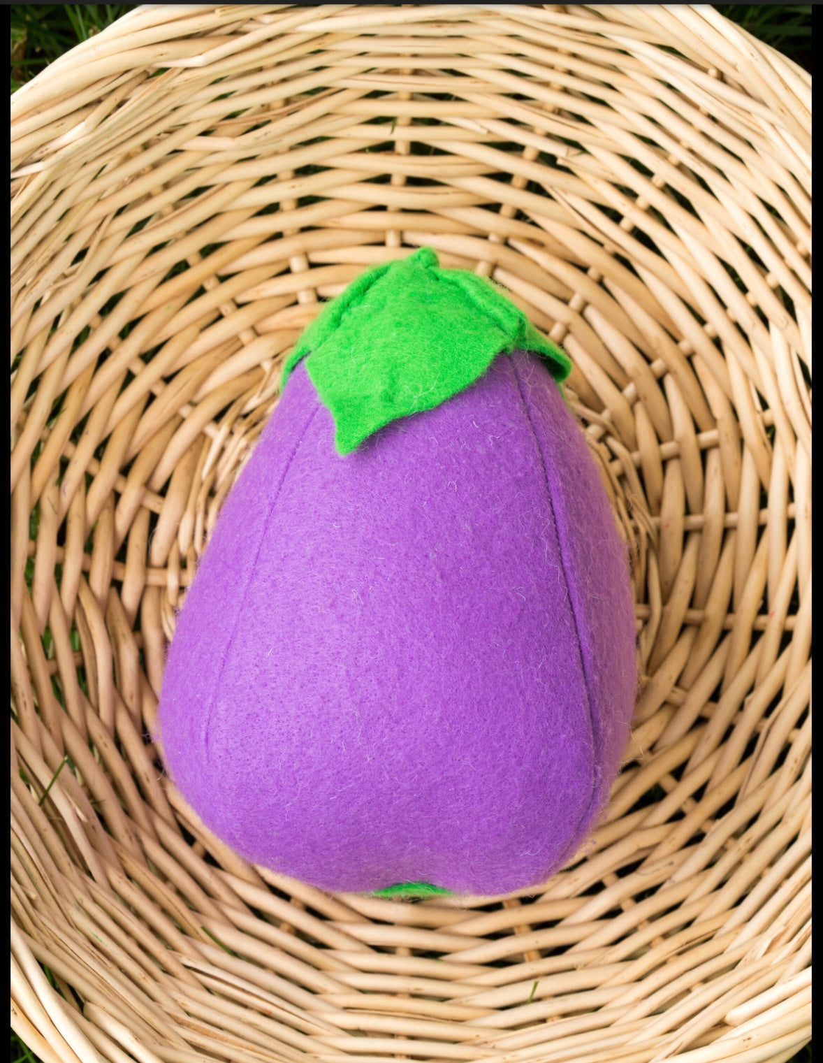 Wool Blend Felt Veggie Set
