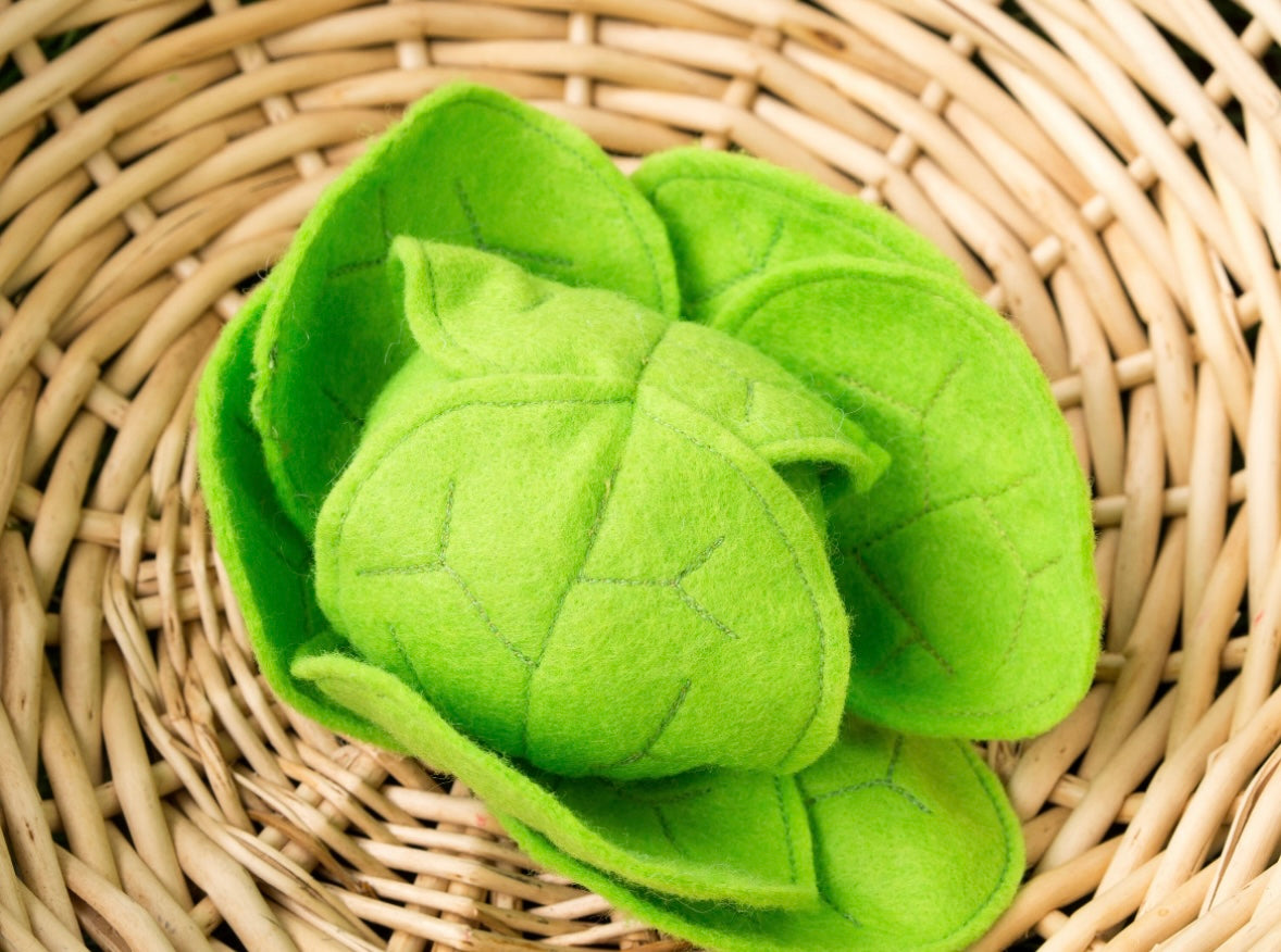 Wool Blend Felt Veggie Set